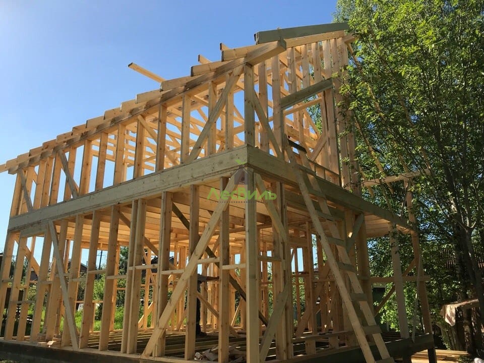A lazy image